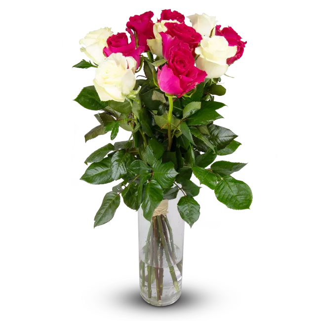 Flowers of ecuadorian roses